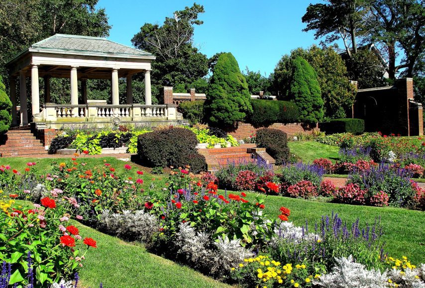 Lynch Park rose garden in full bloom