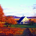 Greenwood Farm with Paine House in the fall