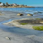Tidal pool at Wingaersheek Beach