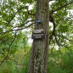 Markers on a tree