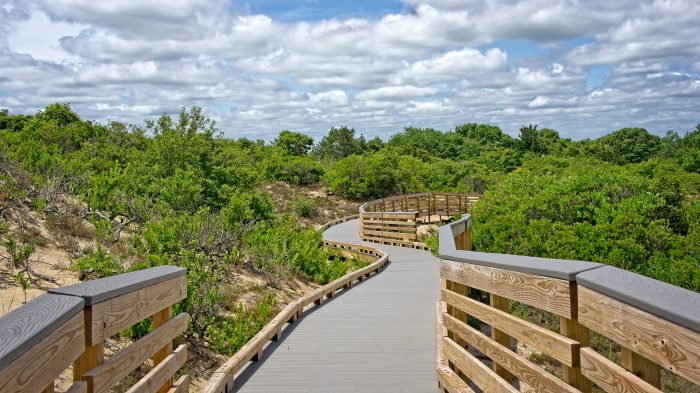 Hellcat trail in the Parker River Wildlife Refuge